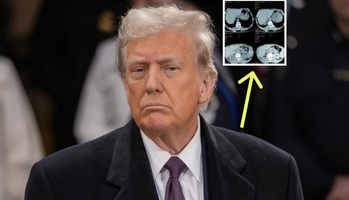 medical scan transparency