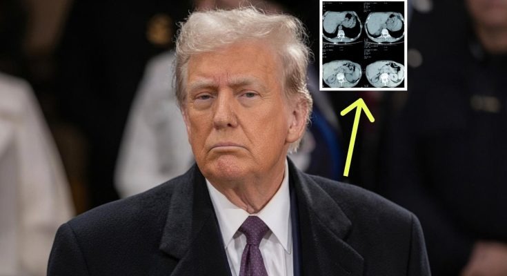 medical scan transparency